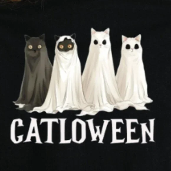 Cozy Fall Fashion for Cat Lovers, Spooky Cat Shirt - Picture 2 of 4
